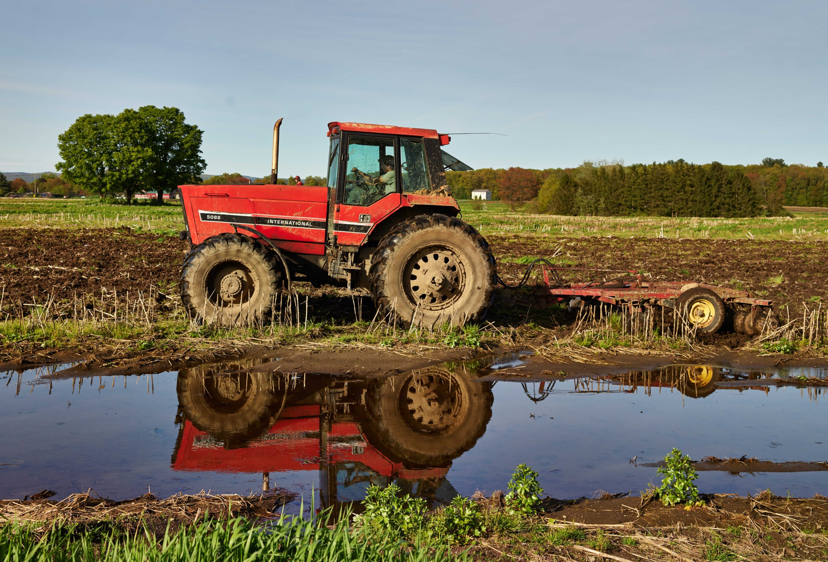 Spring tilling time in a cornfield near Hadley, Massachusetts