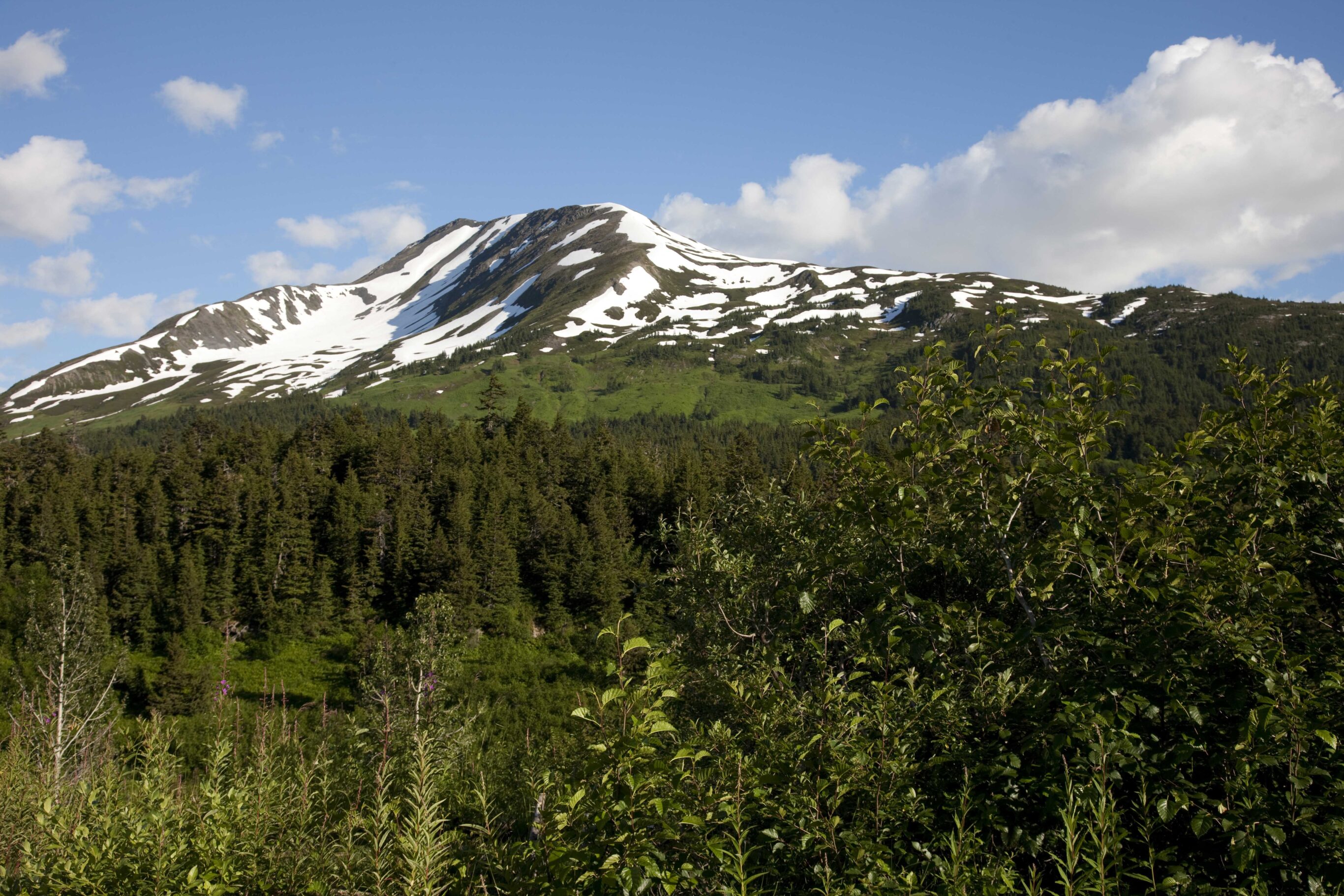 Scenic view from the Seward Highway in the Chugach National Fore