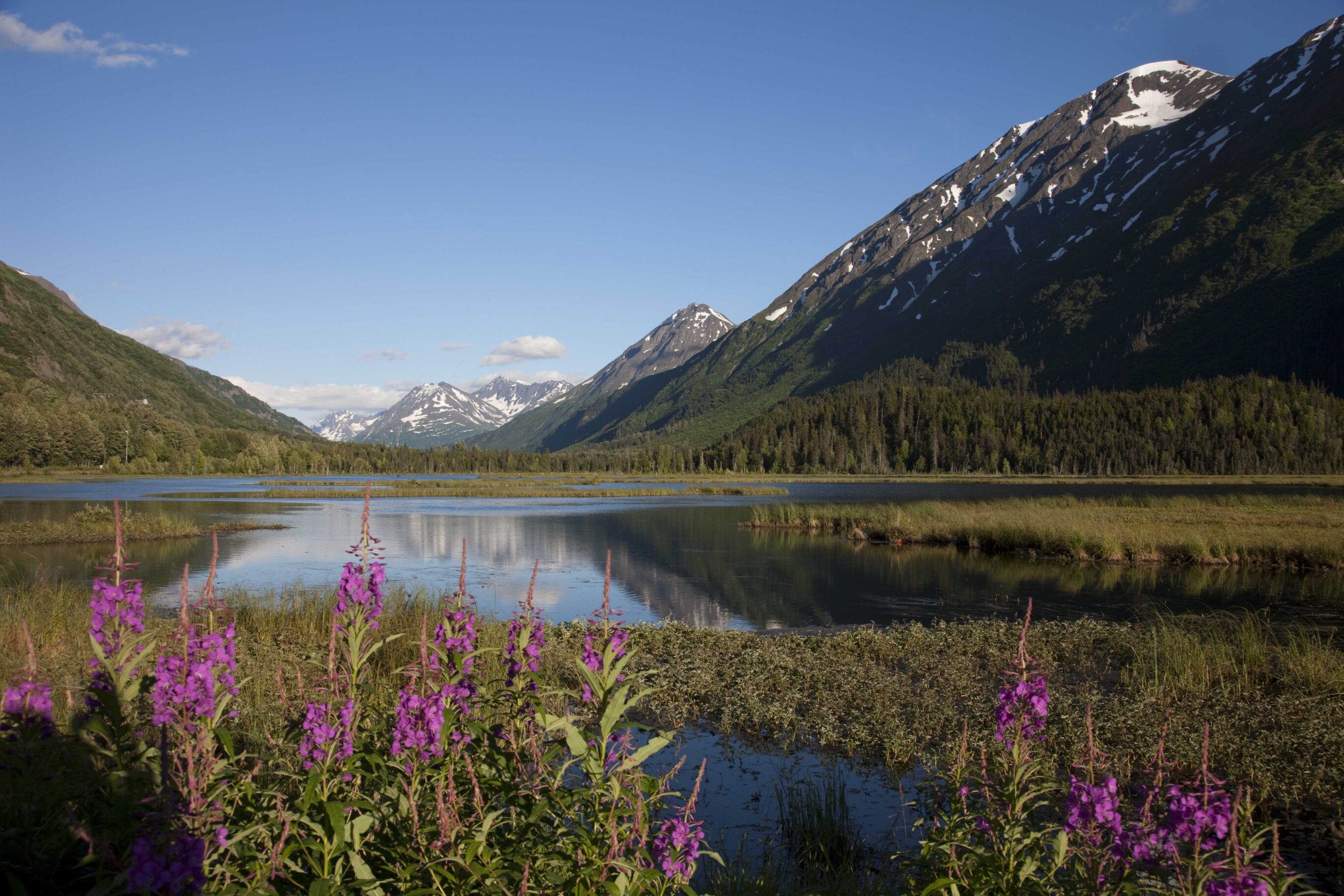 Scenic view from the Seward Highway in the Chugach National Fore