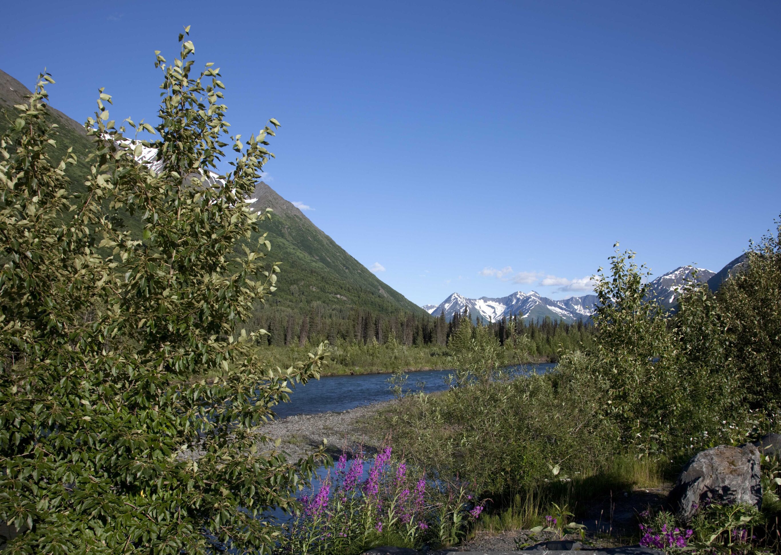 Scenic view from the Seward Highway in the Chugach National Forest